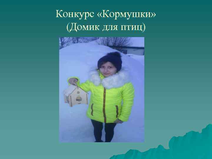 Конкурс «Кормушки» (Домик для птиц) 