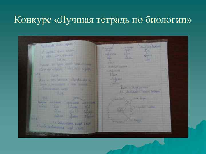 Конкурс «Лучшая тетрадь по биологии» 