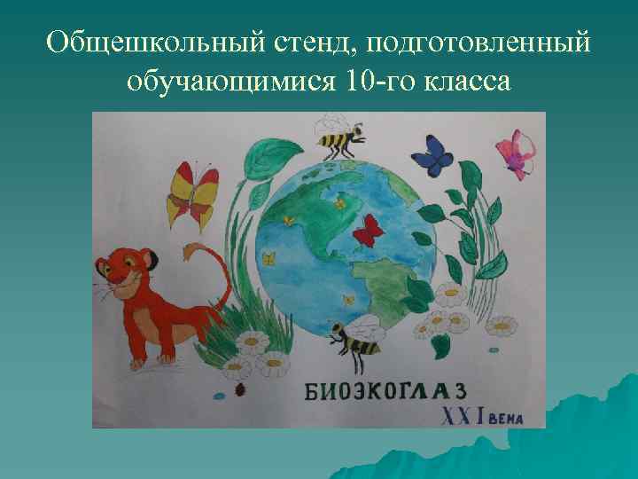 Общешкольный стенд, подготовленный обучающимися 10 -го класса 