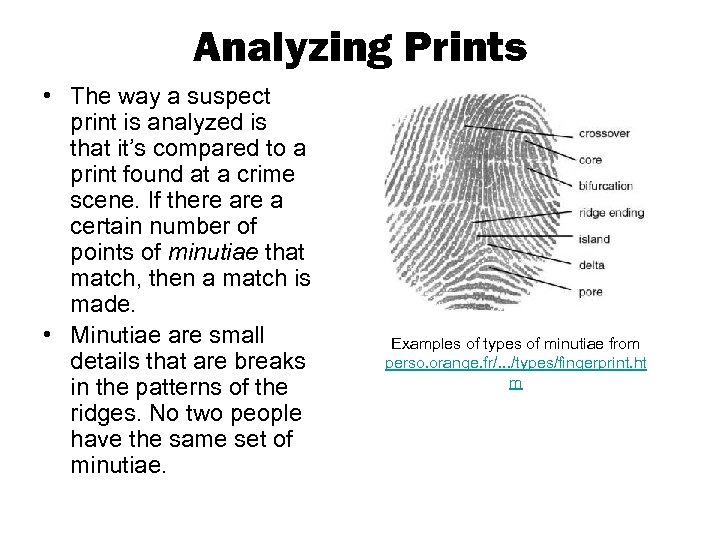 Analyzing Prints • The way a suspect print is analyzed is that it’s compared