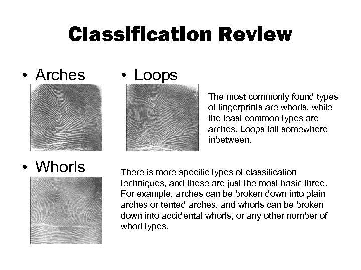 Classification Review • Arches • Loops The most commonly found types of fingerprints are