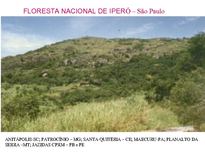 FLORESTA NACIONAL DE IPERÓ – São Paulo ANITÁPOLIS-SC; PATROCÍNIO – MG; SANTA QUITÉRIA –