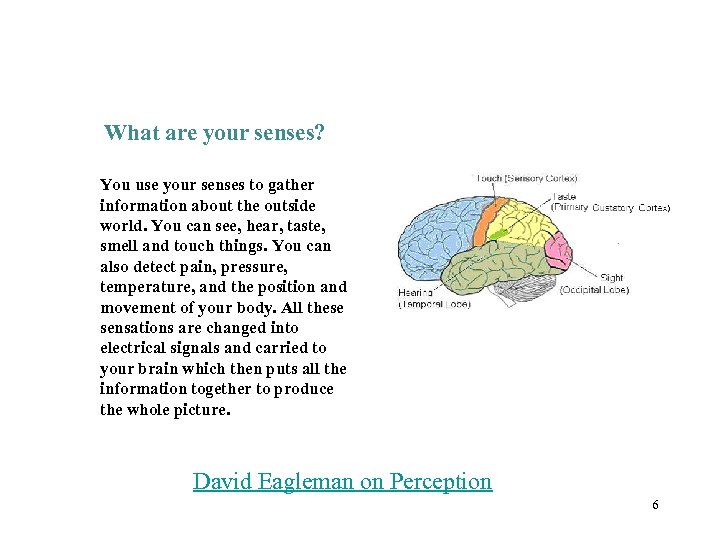 What are your senses? You use your senses to gather information about the outside