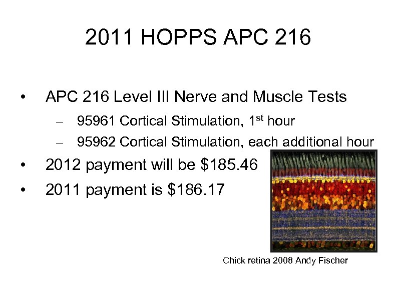 2011 HOPPS APC 216 • APC 216 Level III Nerve and Muscle Tests –