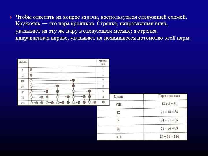  Чтобы ответить на вопрос задачи, воспользуемся следующей схемой. Кружочек — это пара кроликов.