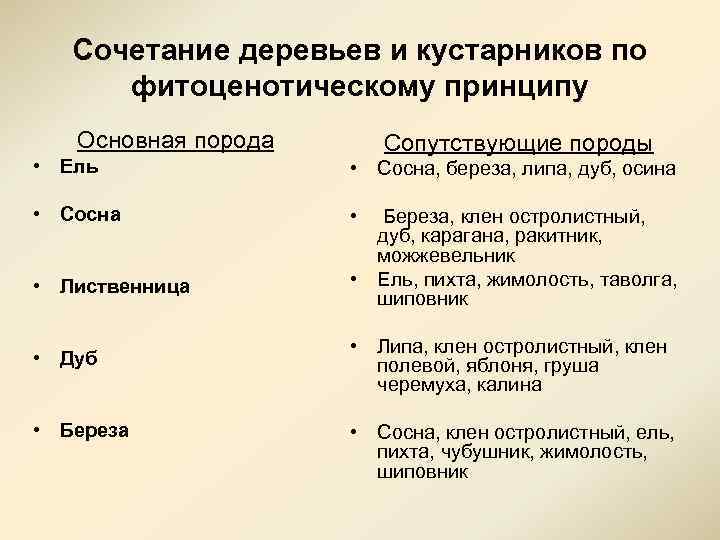 Сочетание деревьев и кустарников по фитоценотическому принципу Основная порода Сопутствующие породы • Ель •