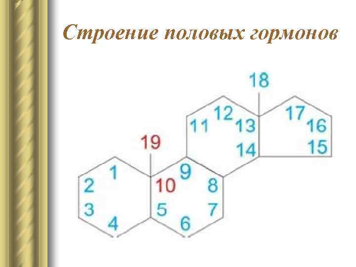 Строение половых гормонов 