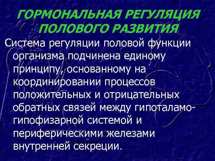 ГОРМОНАЛЬНАЯ РЕГУЛЯЦИЯ ПОЛОВОГО РАЗВИТИЯ Система регуляции половой функции организма подчинена единому принципу, основанному на