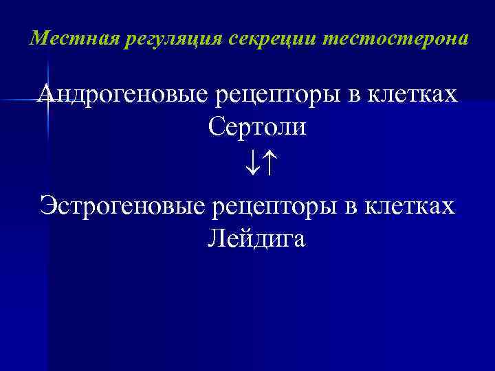 Местная регуляция секреции тестостерона Андрогеновые рецепторы в клетках Сертоли Эстрогеновые рецепторы в клетках Лейдига