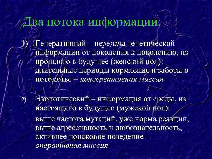 Два потока информации: 1) Генеративный – передача генетической информации от поколения к поколению, из