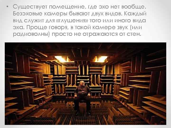  • Существует помещение, где эхо нет вообще. Безэховые камеры бывают двух видов. Каждый