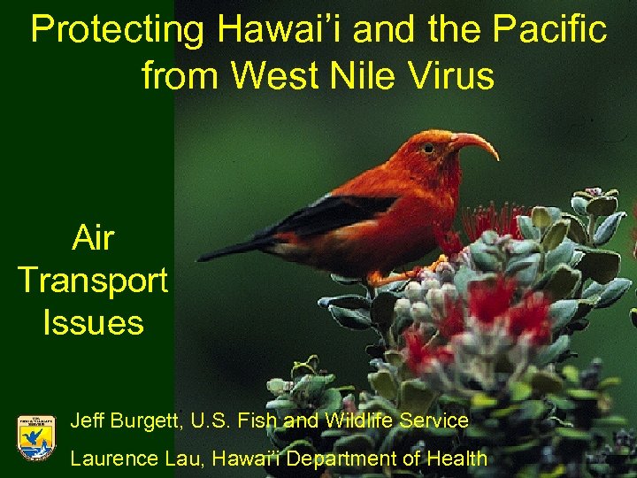 Protecting Hawai’i and the Pacific from West Nile Virus Air Transport Issues Jeff Burgett,