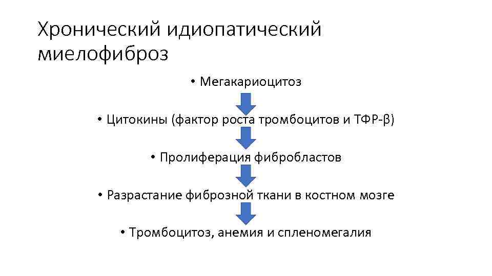 Принцип пролиферации в философию науки ввел