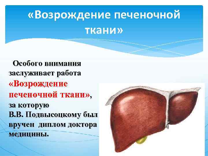  «Возрождение печеночной ткани» Особого внимания заслуживает работа «Возрождение печеночной ткани» , за которую