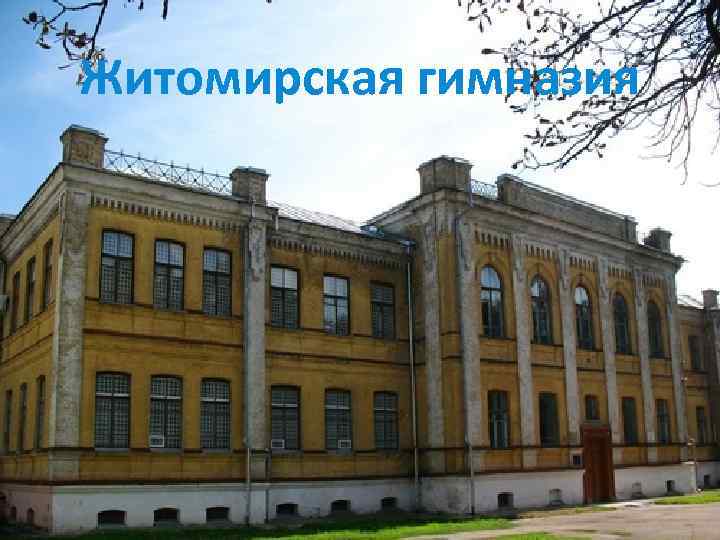 Житомирская гимназия 