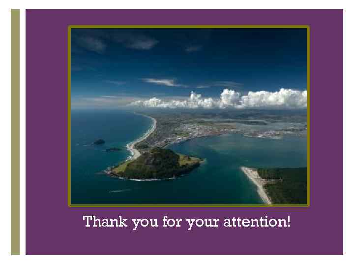 + Thank you for your attention! 