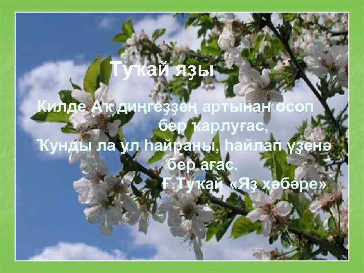 Туҡай яҙы Килде Аҡ диңгеҙҙең артынан осоп бер ҡарлуғас, Ҡунды ла ул һайраны, һайлап