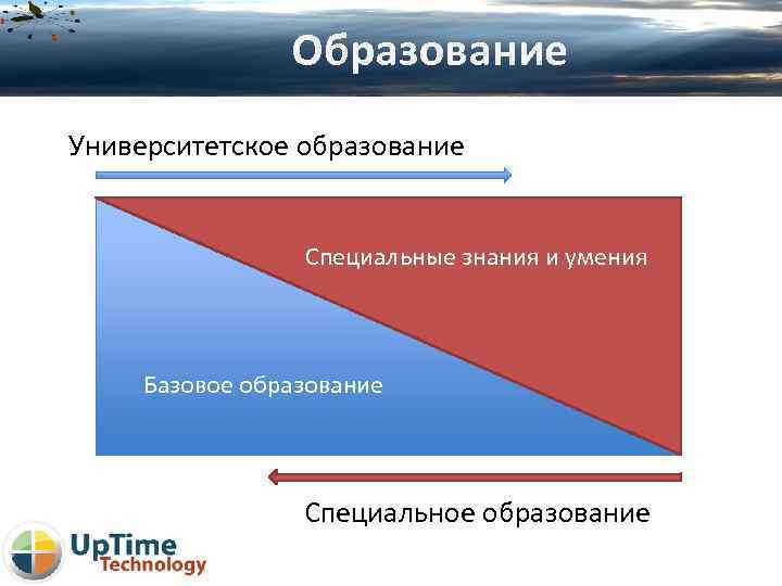 Образование Университетское образование Специальные знания и умения Базовое образование Специальное образование 