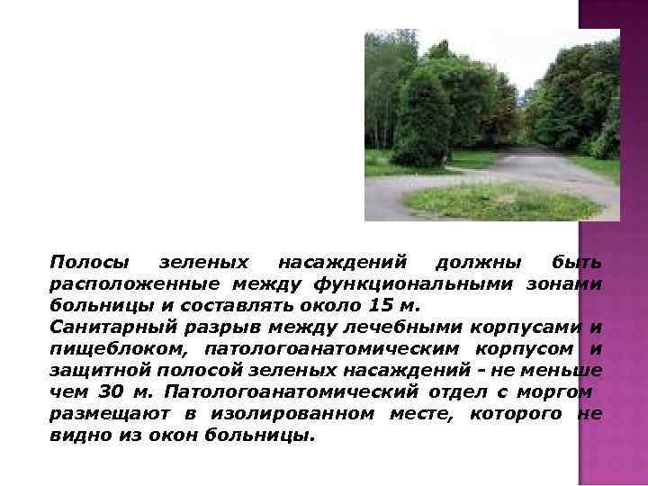 Полосы зеленых насаждений должны быть расположенные между функциональными зонами больницы и составлять около 15