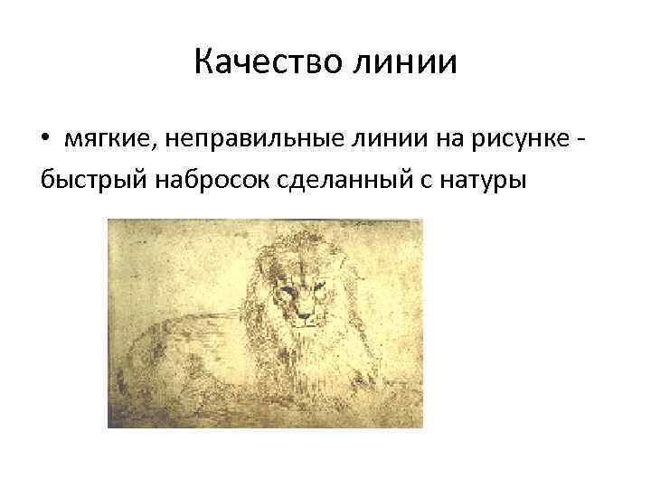 Качество линии • мягкие, неправильные линии на рисунке быстрый набросок сделанный с натуры 