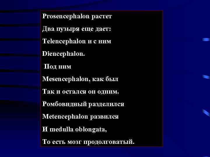 Prosencephalon растет Два пузыря еще дает: Telencephalon и с ним Diencephalon. Под ним Mesencephalon,