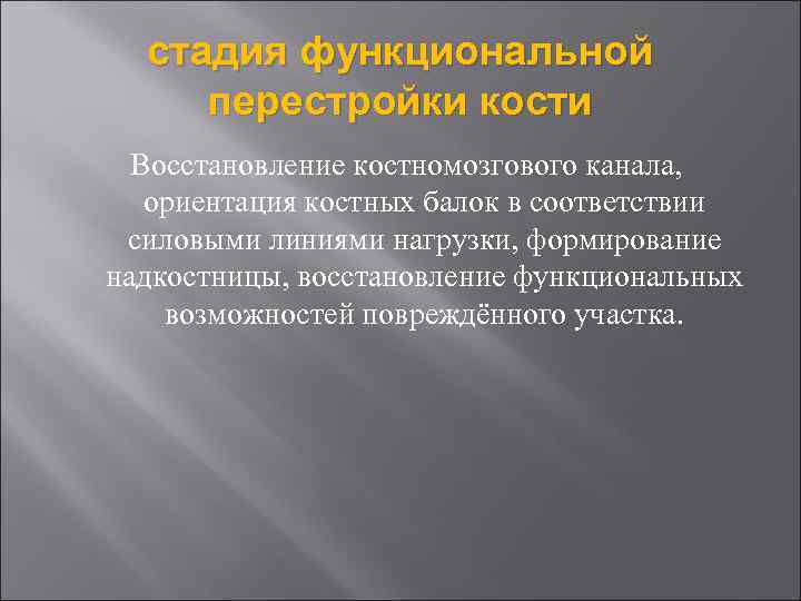 стадия функциональной перестройки кости Восстановление костномозгового канала, ориентация костных балок в соответствии силовыми линиями