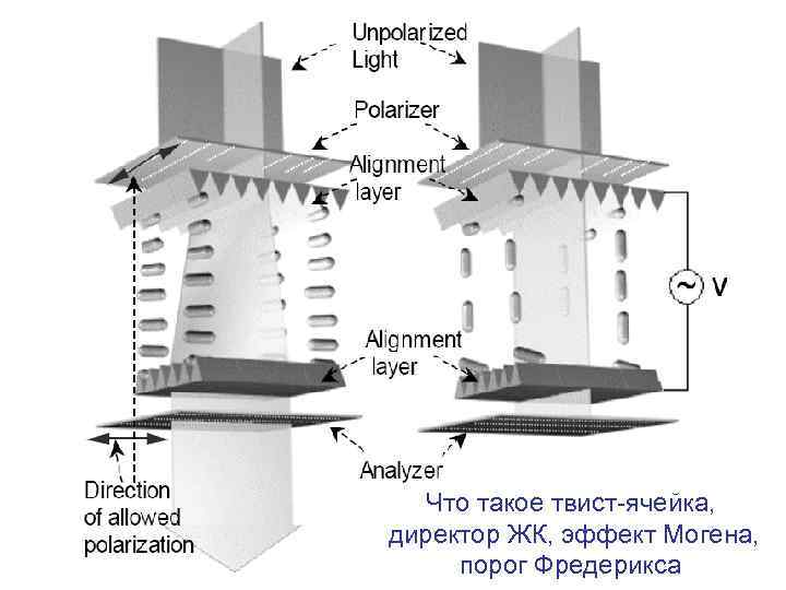 Что такое твист-ячейка, директор ЖК, эффект Могена, 39 порог Фредерикса 
