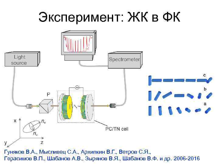 Эксперимент: ЖК в ФК Гуняков В. А. , Мысливец С. А. , Архипкин В.