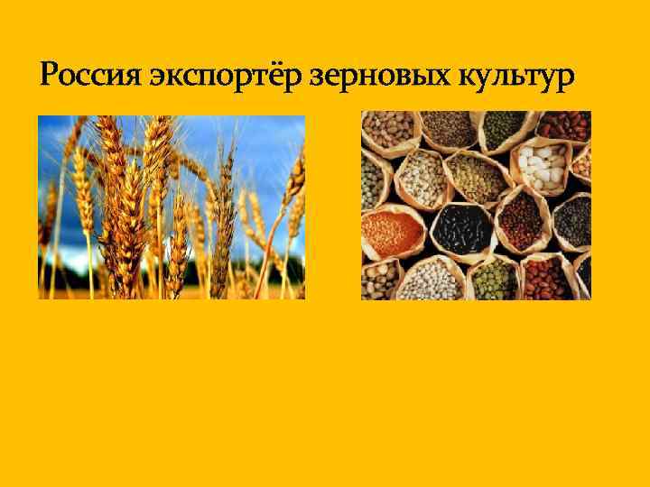 Россия экспортёр зерновых культур 