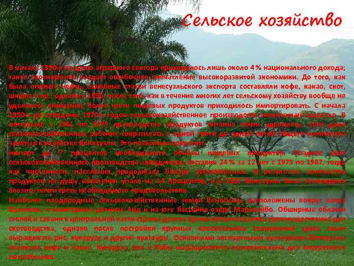 Сельское хозяйство В начале 1990 -х на долю аграрного сектора приходилось лишь около 4