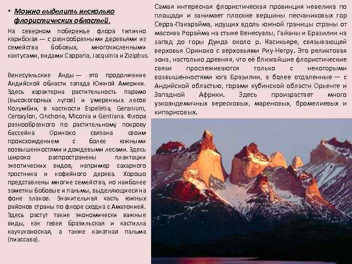  • Можно выделить несколько флористических областей. На северном побережье флора типично карибская —