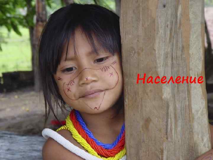 Население 