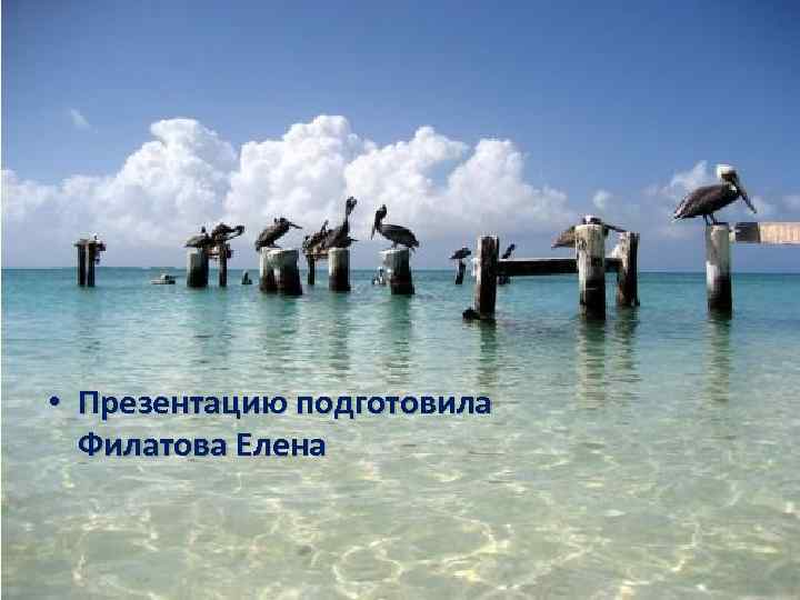  • Презентацию подготовила Филатова Елена 