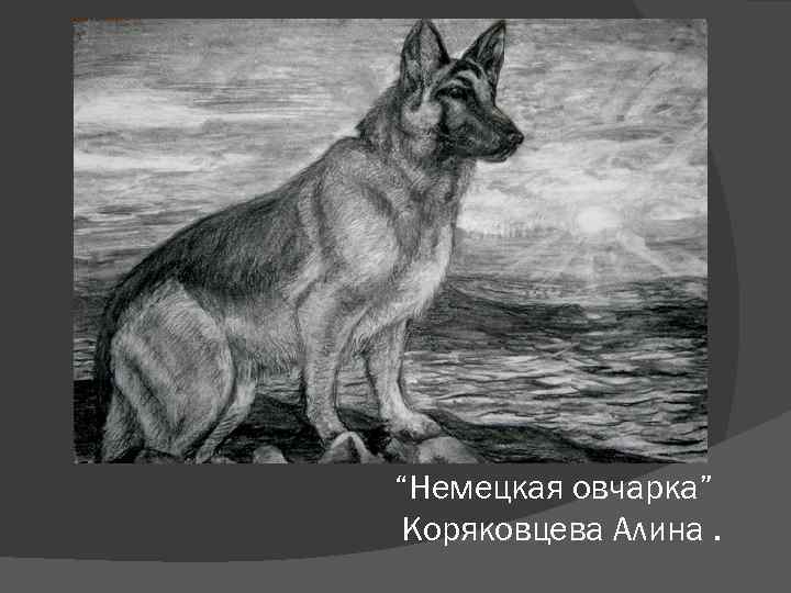 “Немецкая овчарка” Коряковцева Алина. 