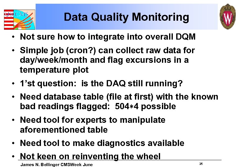 Data Quality Monitoring • Not sure how to integrate into overall DQM • Simple