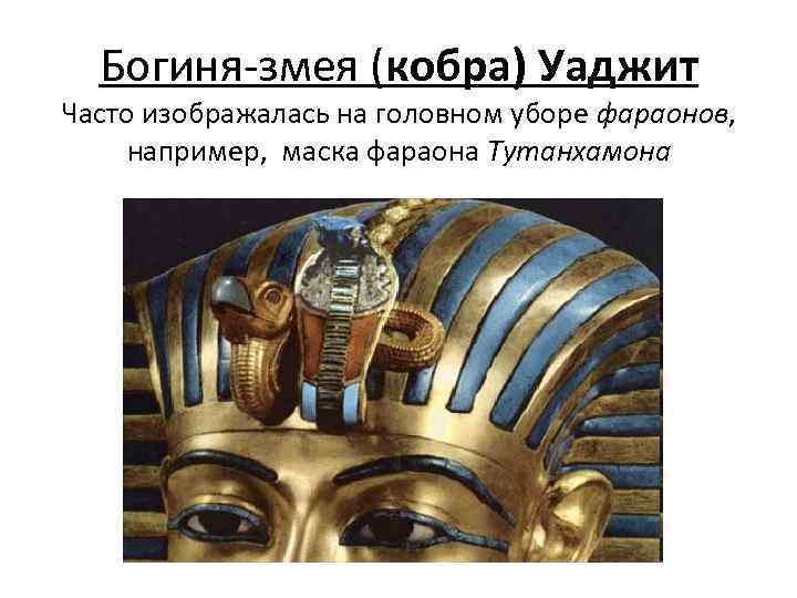 Богиня-змея (кобра) Уаджит Часто изображалась на головном уборе фараонов, например, маска фараона Тутанхамона 