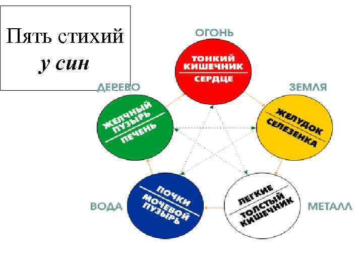 Пять стихий у син 