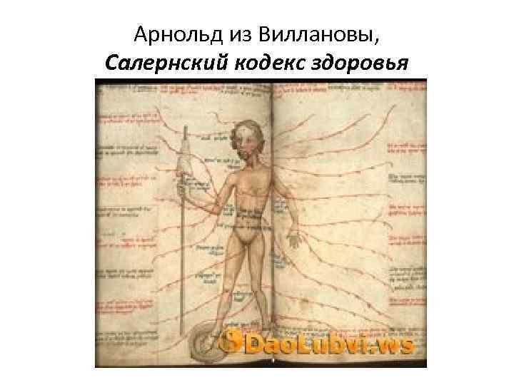 Арнольд из Виллановы, Салернский кодекс здоровья 