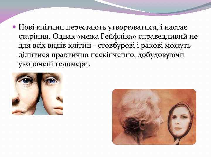  Нові клітини перестають утворюватися, і настає старіння. Однак «межа Гейфліка» справедливий не для