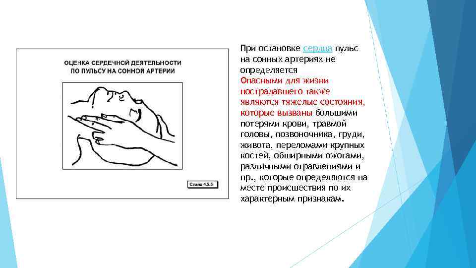 Определите признаки жизни