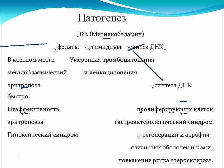 Патогенез ↓В 12 (Метилкобаламин) ↓фолаты → ↓тимидины →синтез ДНК↓ В костном мозге Умеренная тромбоцитопения