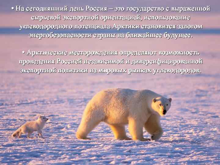  • На сегодняшний день Россия – это государство с выраженной сырьевой экспортной ориентацией,