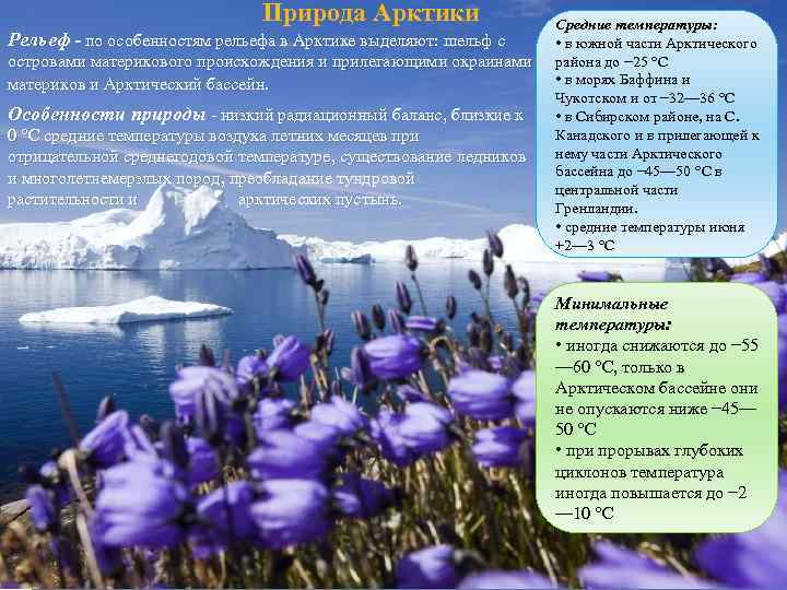 Взаимосвязи в природе арктических пустынь. Особенности природы Арктики. Особенно природы Арктики. Природные условия Арктики. Особенности природы арктических пустынь.