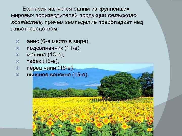 Болгария является одним из крупнейших мировых производителей продукции сельского хозяйства, причем земледелие преобладает над