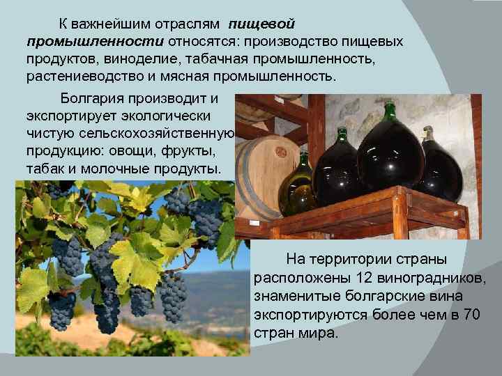 К важнейшим отраслям пищевой промышленности относятся: производство пищевых продуктов, виноделие, табачная промышленность, растениеводство и