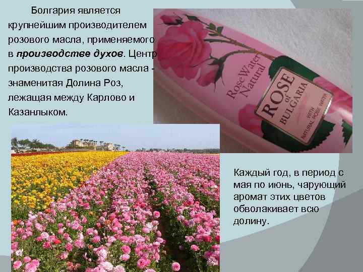 Свойство розового масла