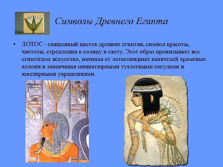 Символы Древнего Египта • ЛОТОС - священный цветок древних египтян, символ красоты, чистоты, стремления