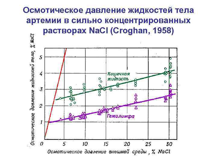 Осмотическое давление жидкостей тела артемии в сильно концентрированных растворах Na. Cl (Croghan, 1958) 