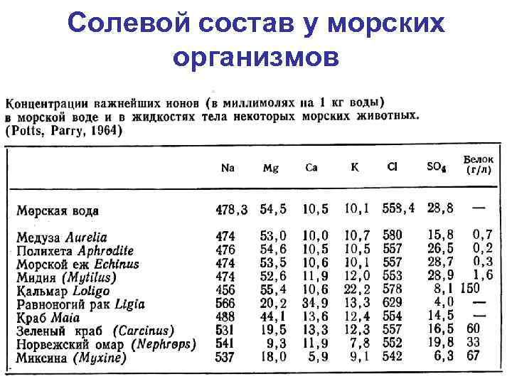 Солевой состав у морских организмов 