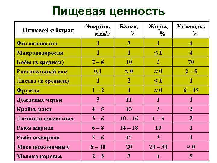 1 1 4 белки жиры углеводы. Пищевая ценность белки жиры углеводы. Пищевая ценность насекомых. Пищевая ценность тараканов. БЖУ насекомых.